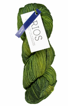 Load image into Gallery viewer, Malabrigo RIOS