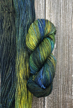 Load image into Gallery viewer, Malabrigo RIOS