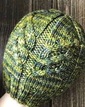 Load image into Gallery viewer, Branching Out Beanie (Digital Pattern Download)